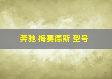 奔驰 梅赛德斯 型号